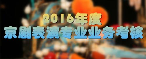 日大奶嫩逼网站国家京剧院2016年度京剧表演专业业务考...